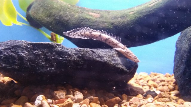 20171102_195234.jpg