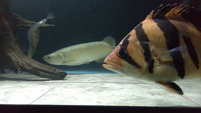 IMG_20171029_234302.jpg