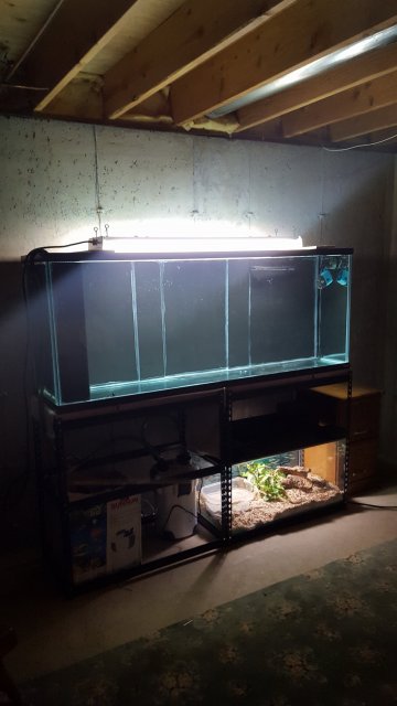 20171102_183428_001.jpg 20171102_183428_001.jpg