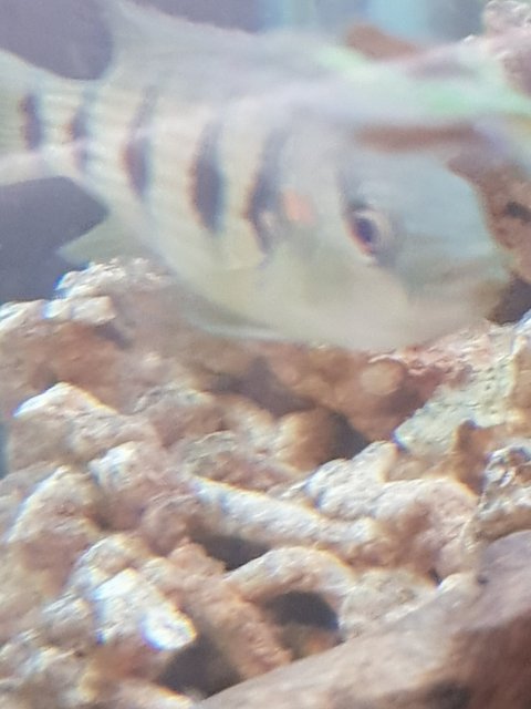 150989448823983686490.jpg 150989448823983686490.jpg