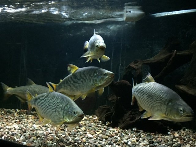 image1.JPG