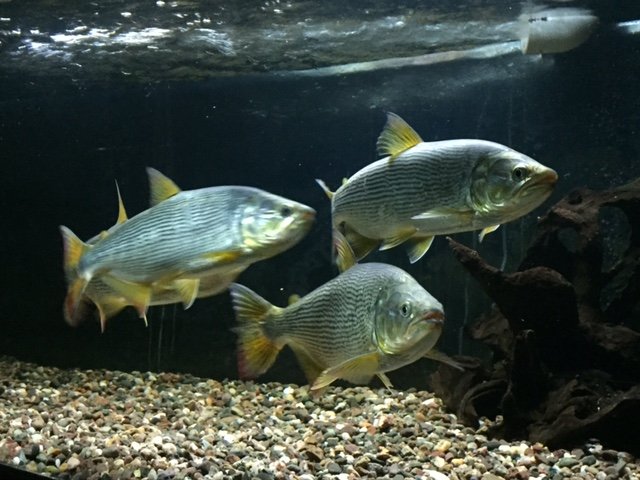 image2.JPG