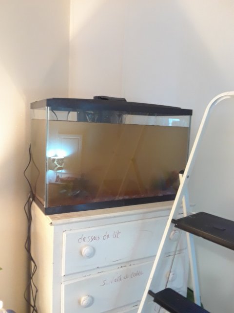 20171108_111733.jpg