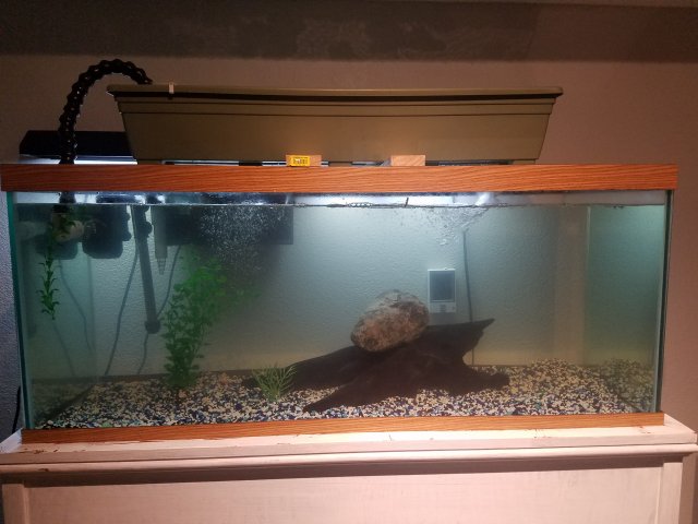 20171108_171745.jpg 20171108_171745.jpg