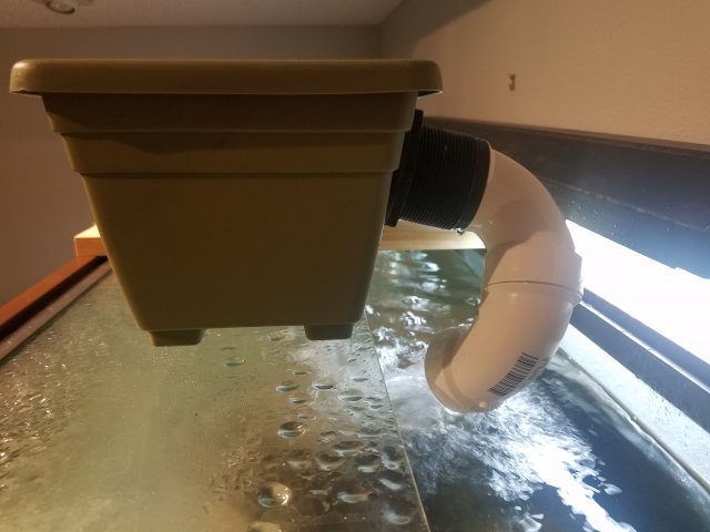 20171108_171757.jpg 20171108_171757.jpg