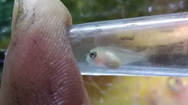 20171107_192844.jpg
