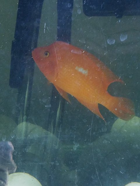 1510359075965209571559.jpg 1510359075965209571559.jpg