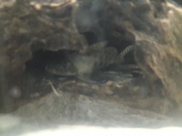 20171110_215954.jpg