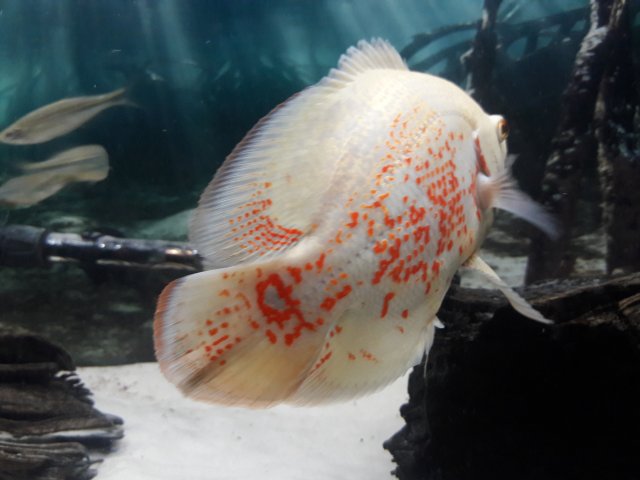 20171110_220032.jpg