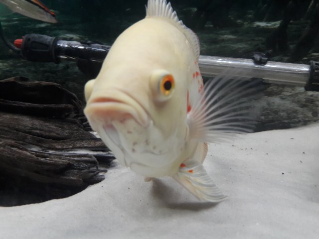 20171110_215903.jpg