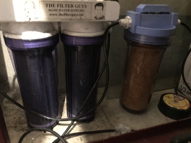 5A6D9B66-C6AA-4C27-A81D-9424478A12EA.jpeg 5A6D9B66-C6AA-4C27-A81D-9424478A12EA.jpeg