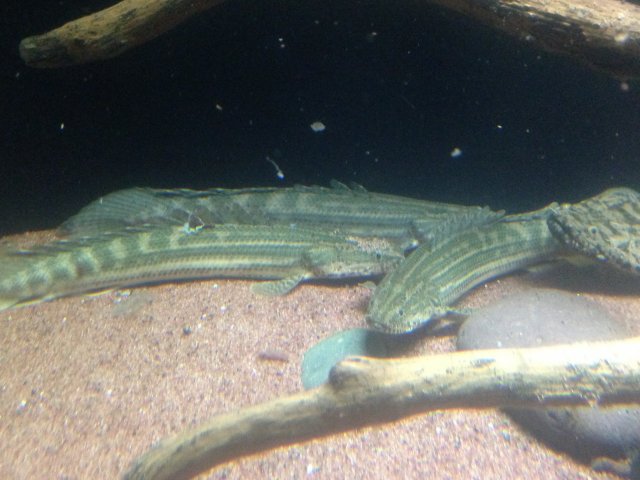 IMG_3499.JPG