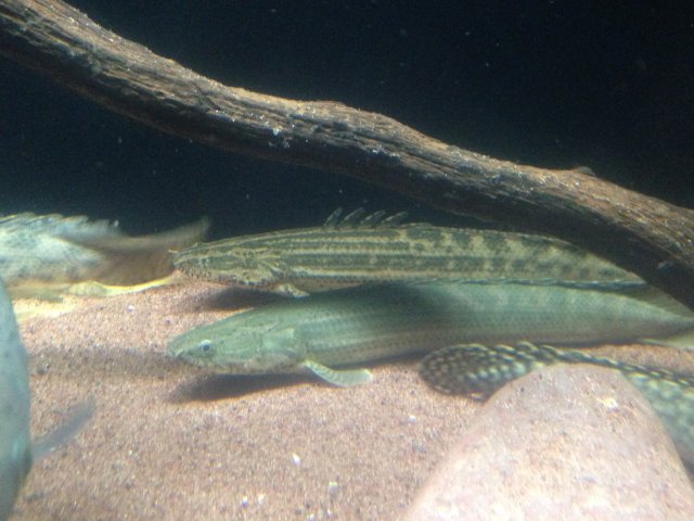IMG_3500.JPG