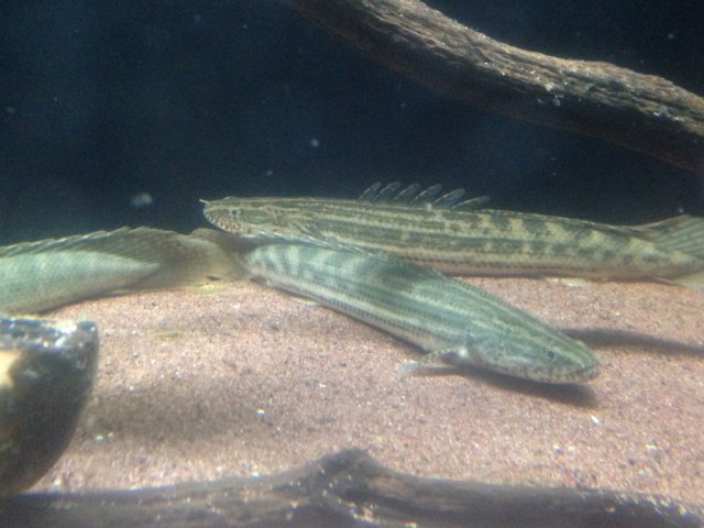 IMG_3502.JPG