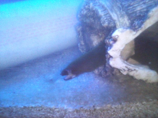 IMG_20171028_013352.jpg