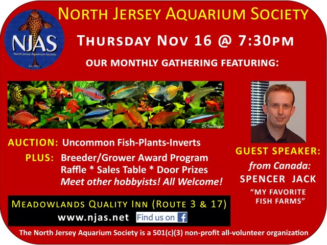 Meeting Flyer.jpg