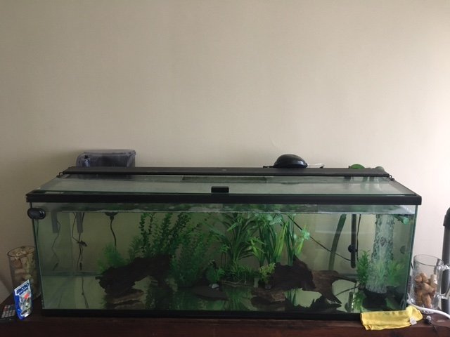 55gallon.JPG