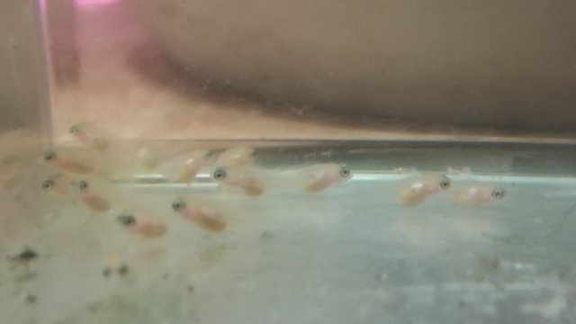20171112_075046.jpg