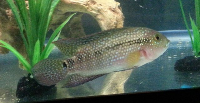 20151201_142949-1-1179x611.jpg