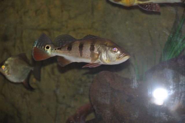 DSC_0511.JPG DSC_0511.JPG