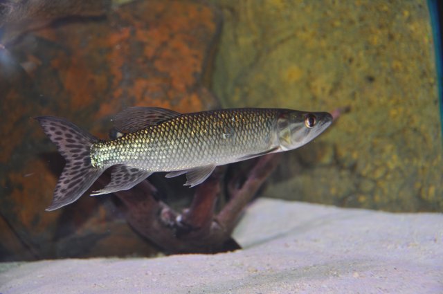 DSC_0537.JPG DSC_0537.JPG