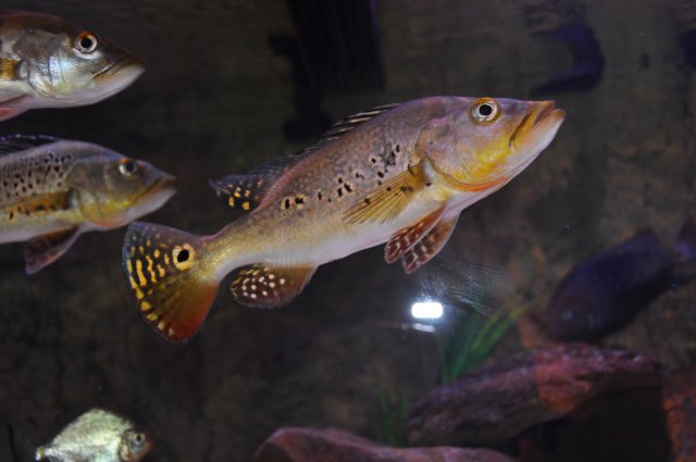 DSC_0538.JPG DSC_0538.JPG