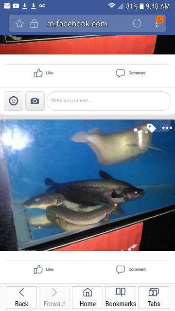 Screenshot_20171115-094049.png