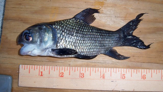 100_7988.JPG