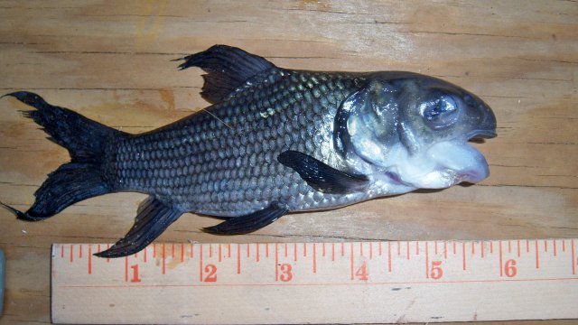 100_7990.JPG