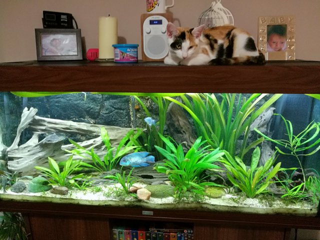 IMG_20171116_180039.jpg IMG_20171116_180039.jpg