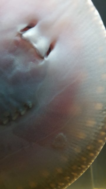 20171118_155316.jpg 20171118_155316.jpg
