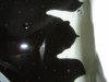 DSC02756.JPG