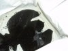 DSC02757.JPG