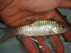DSC00393.JPG