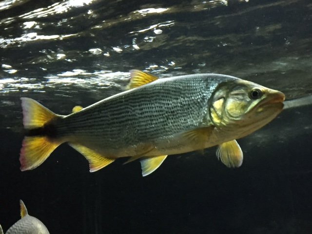 image5.JPG