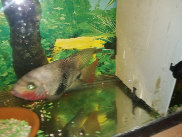 20171115_172032.jpg