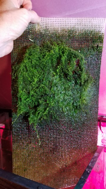 20171105_163154.jpg
