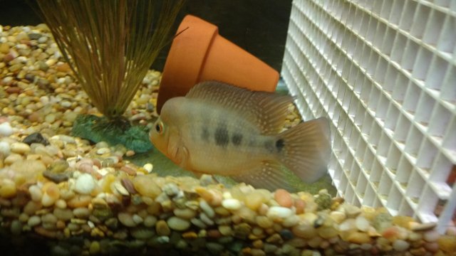 IMG_20171124_104312077.jpg