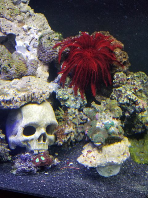 20171124_195526.jpg