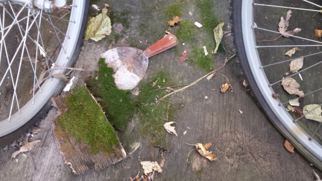 20161022_153431.jpg