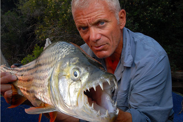 african-tigerfish-01-625x450.jpg