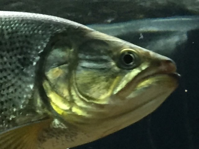 image1.JPG