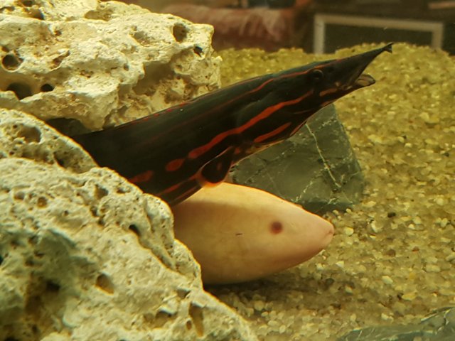 20171111_171556_resized_2.jpg