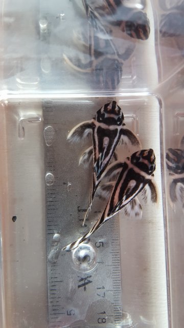 20171123_102152.jpg 20171123_102152.jpg