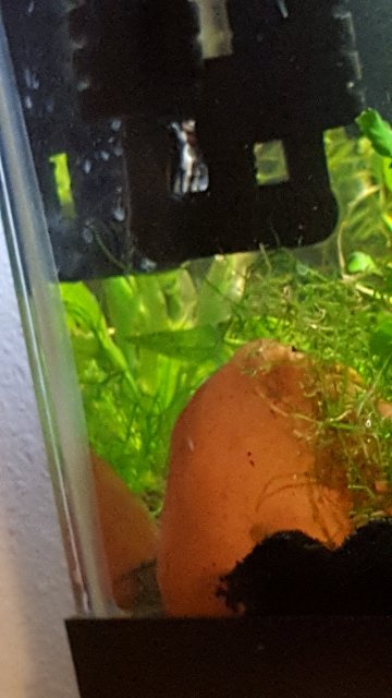 1511846970314120426944.jpg 1511846970314120426944.jpg