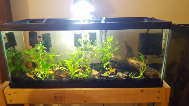 151184703921872045435.jpg 151184703921872045435.jpg