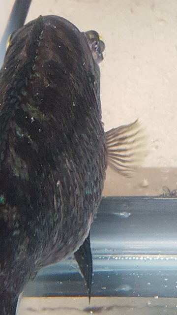 20171128_120908.jpg