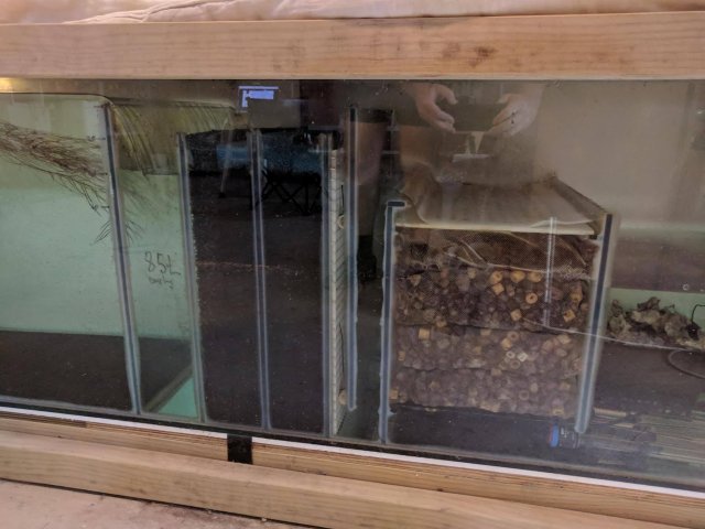 Sump2.jpg