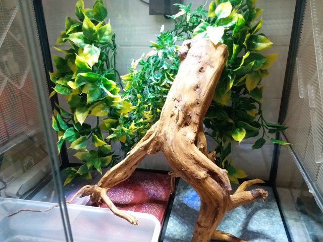 20171118_111303.jpg