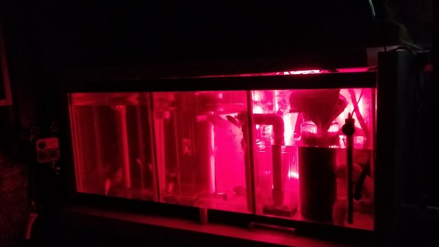 20171104_163306.jpg